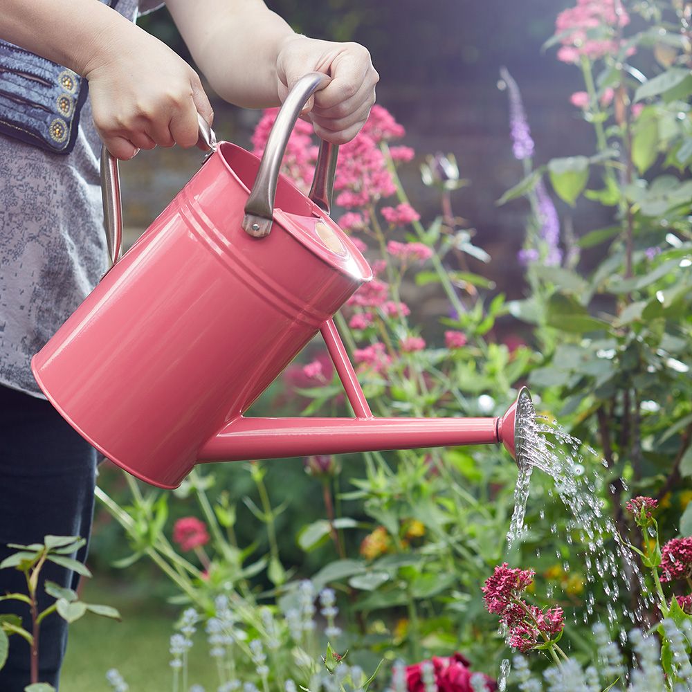 Smart Garden Watering Can 4.5L - Coral Pink