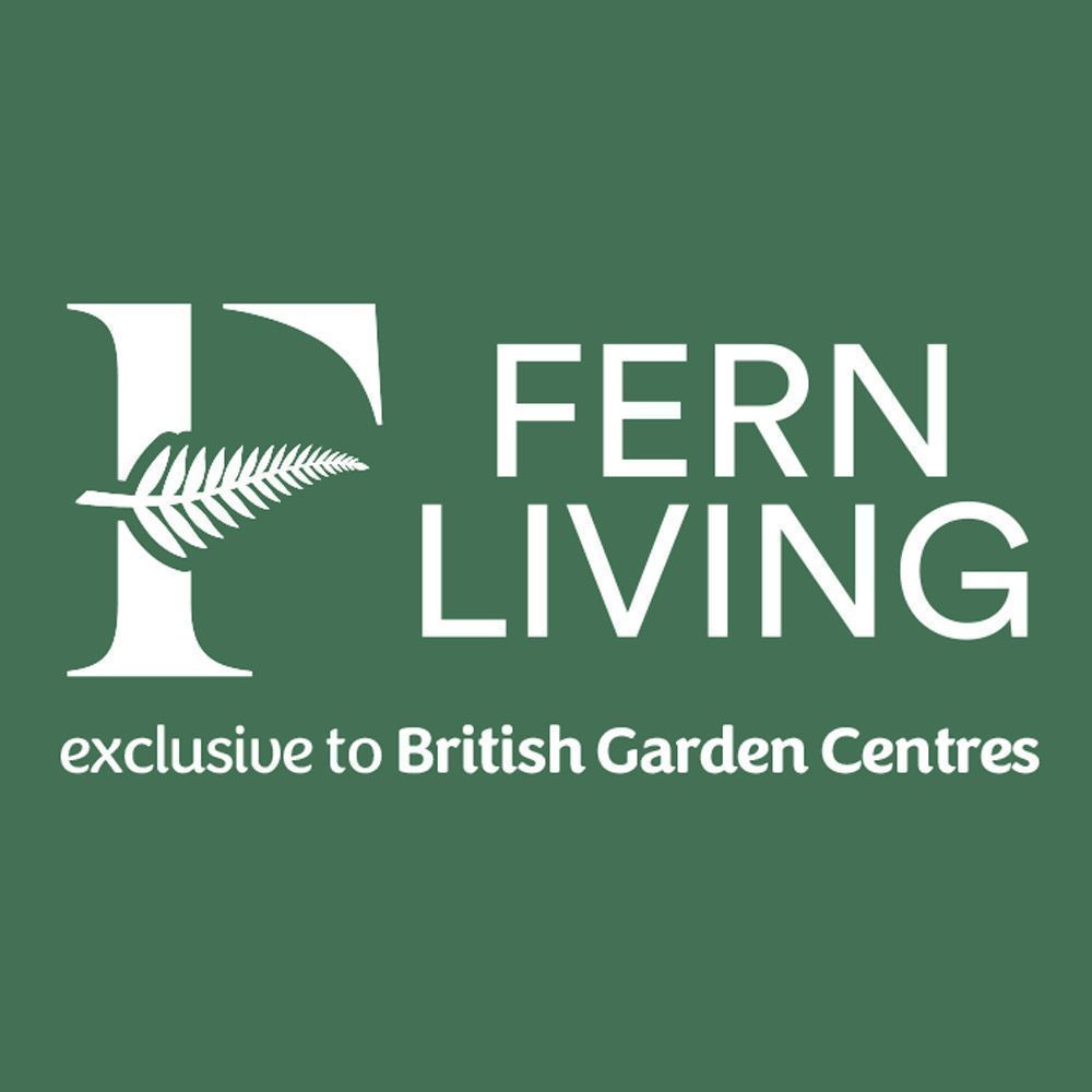 Fern Living Brimham Companion set
