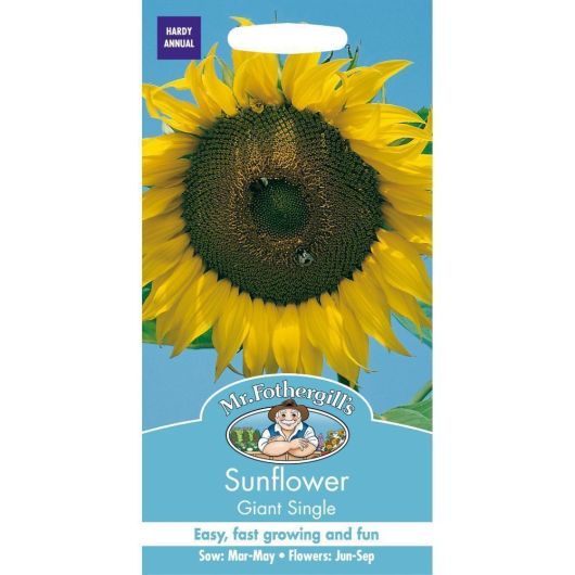 Mr Fothergills Sunflower Giant Single