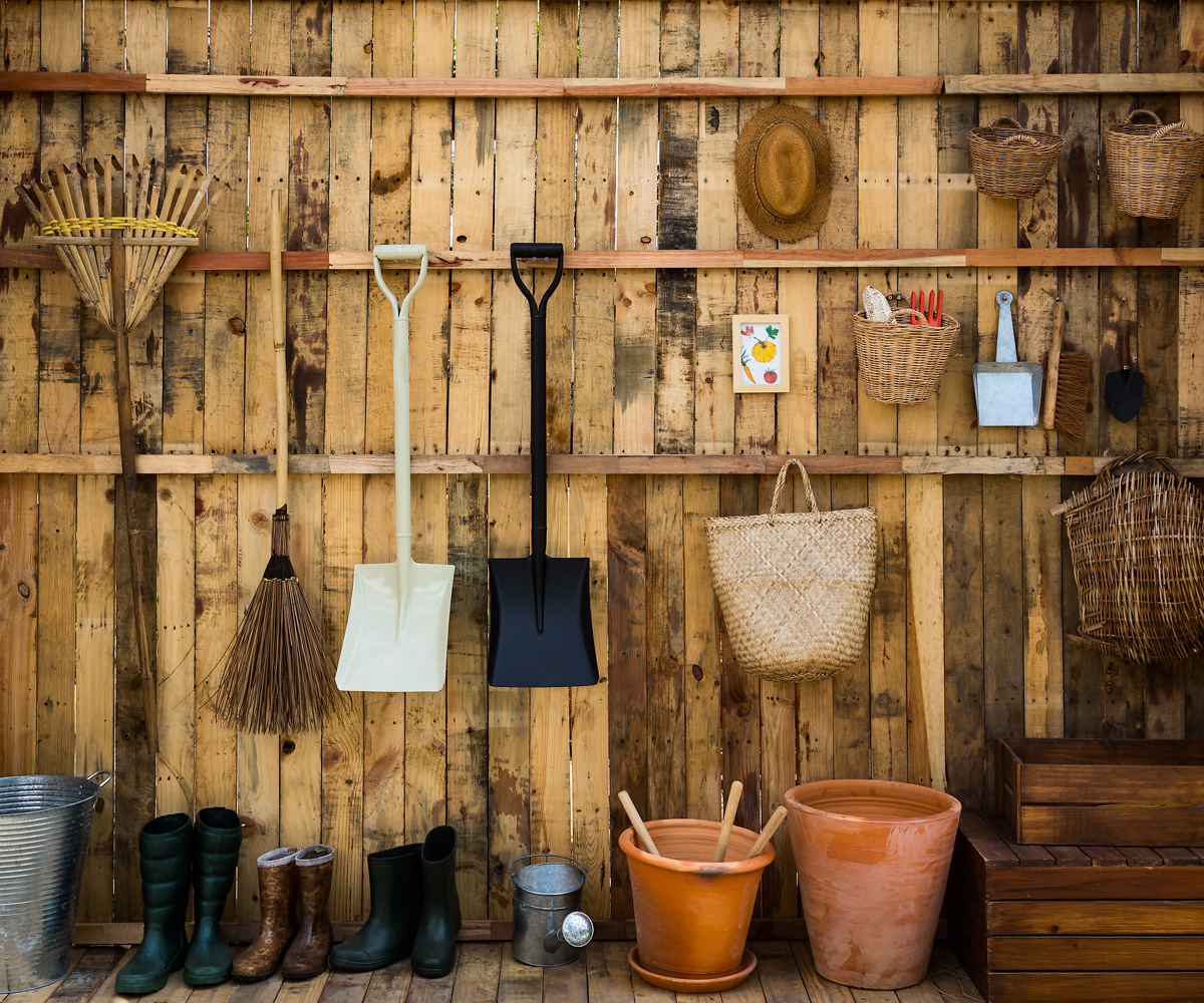 Tidy your greenhouse and potting shed!