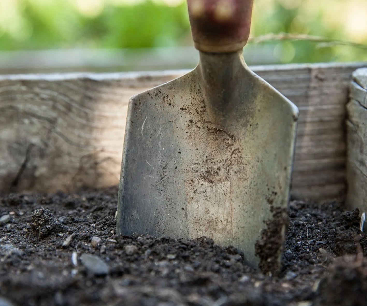 Preparing soil - Your garden in February