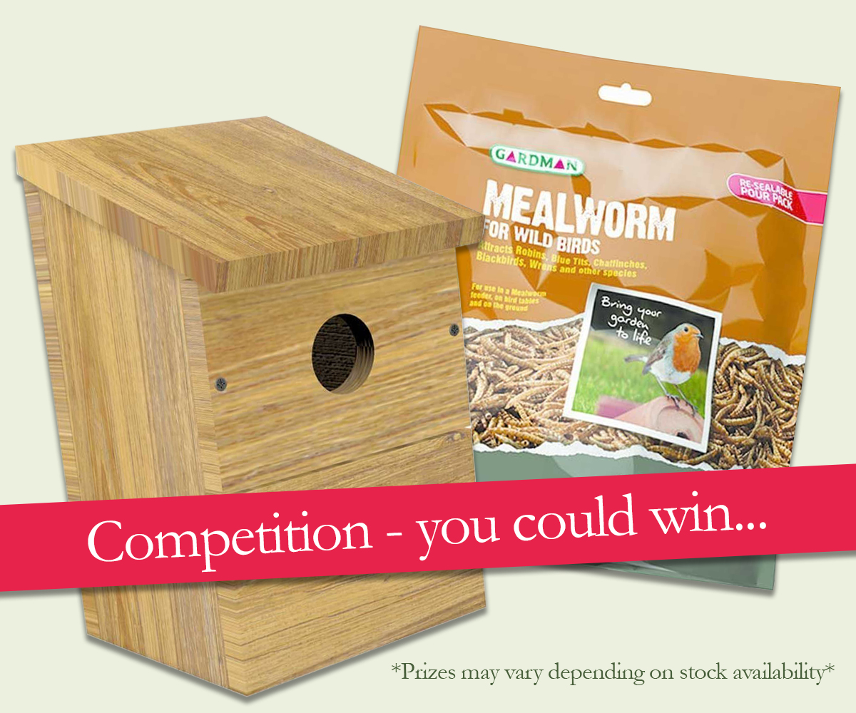 You could win - enter our competition