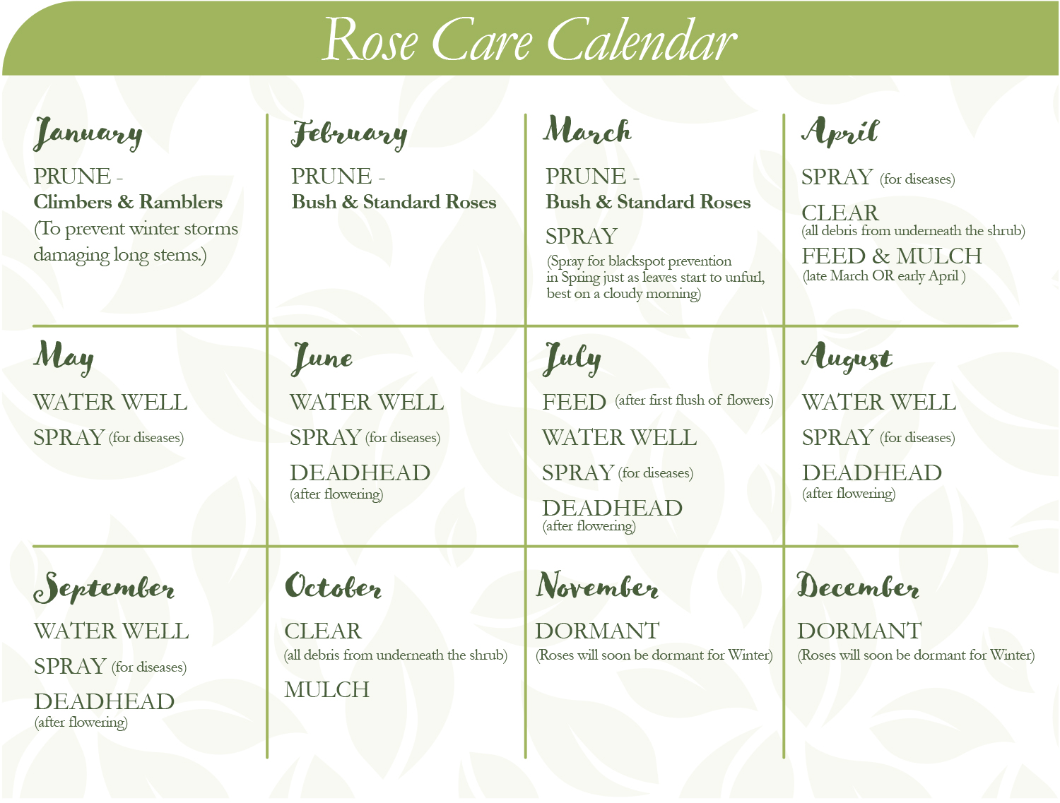 Rose care calendar