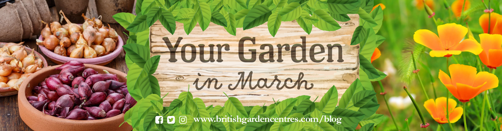 Your garden in - March