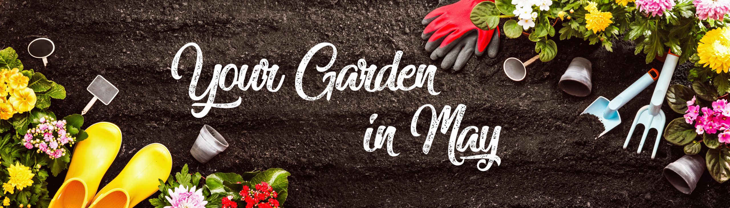 Your Garden in May