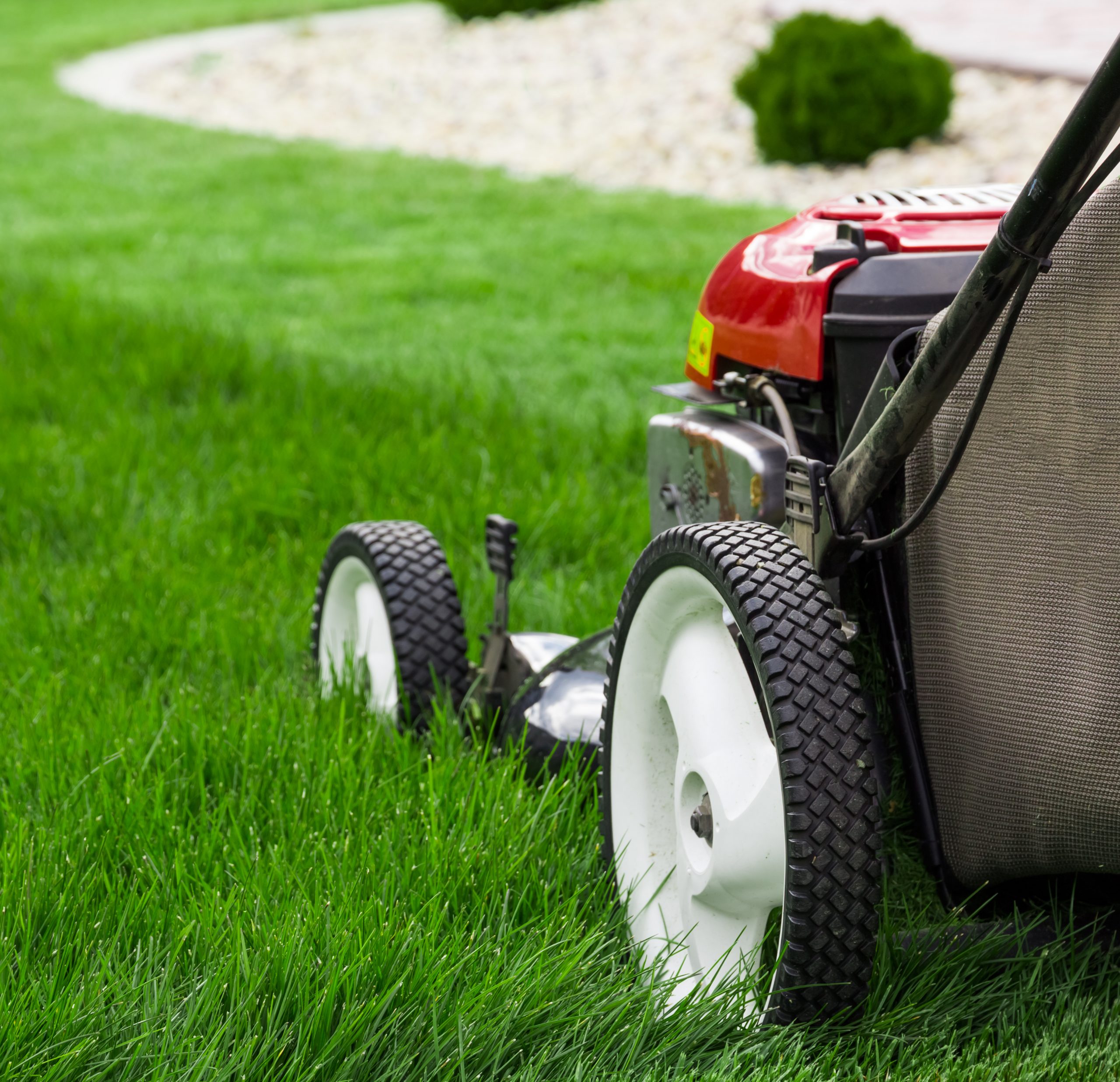 lawn mower cutting grass