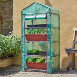 Mini GreenHouses and Cold Frames