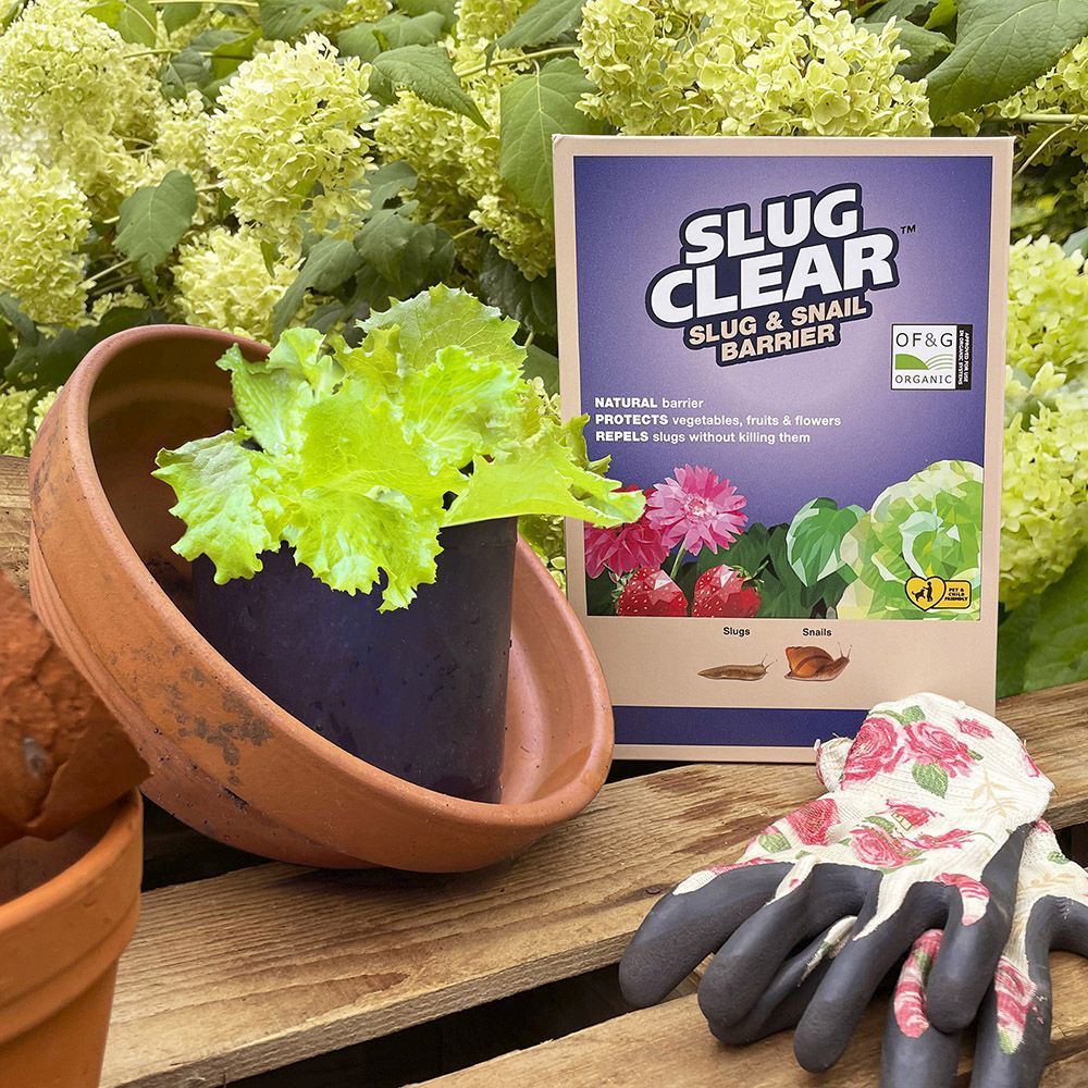 Slug-Clear